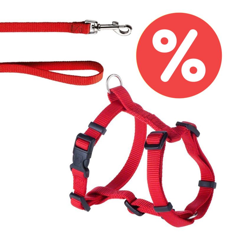 Sparset HUNTER Hundeleine + Geschirr Ecco Sport Vario Rapid rot