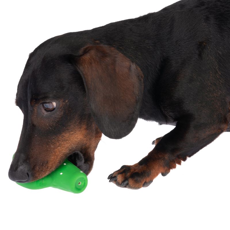 TIAKI Hundespielzeug Latex Kaktus zu TOP-Preisen