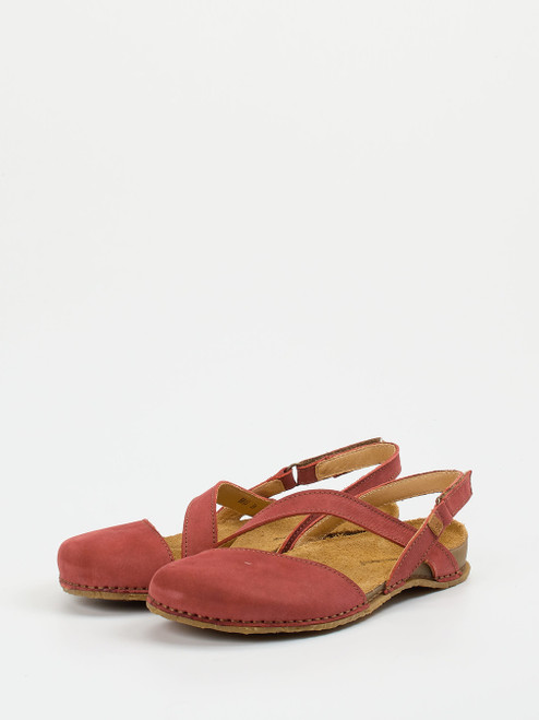 Slipper-13112590001 El Naturalista