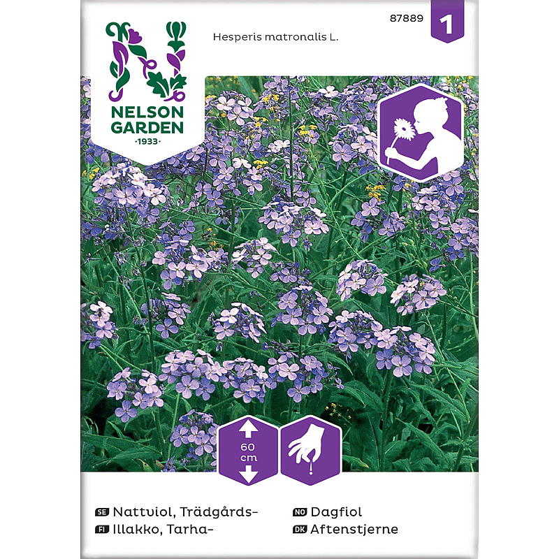 Nelson garden Frø Dagfiol Fiolett