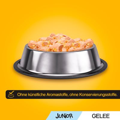 Pedigree Junior Frischebeutel Multipack