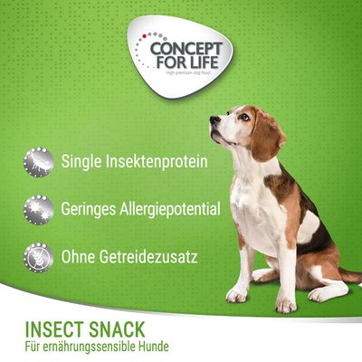 Concept for Life Insect Snack mit Süßkartoffeln