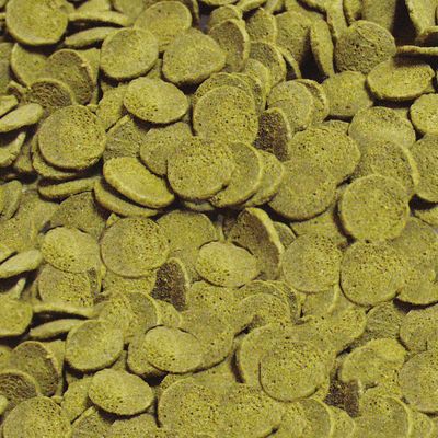 sera Wels-Chips Nature Chipsfutter
