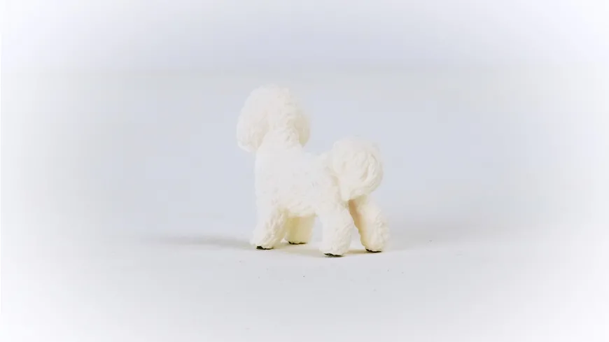 Schleich 13963 - Farm World - Bichon Frisé
