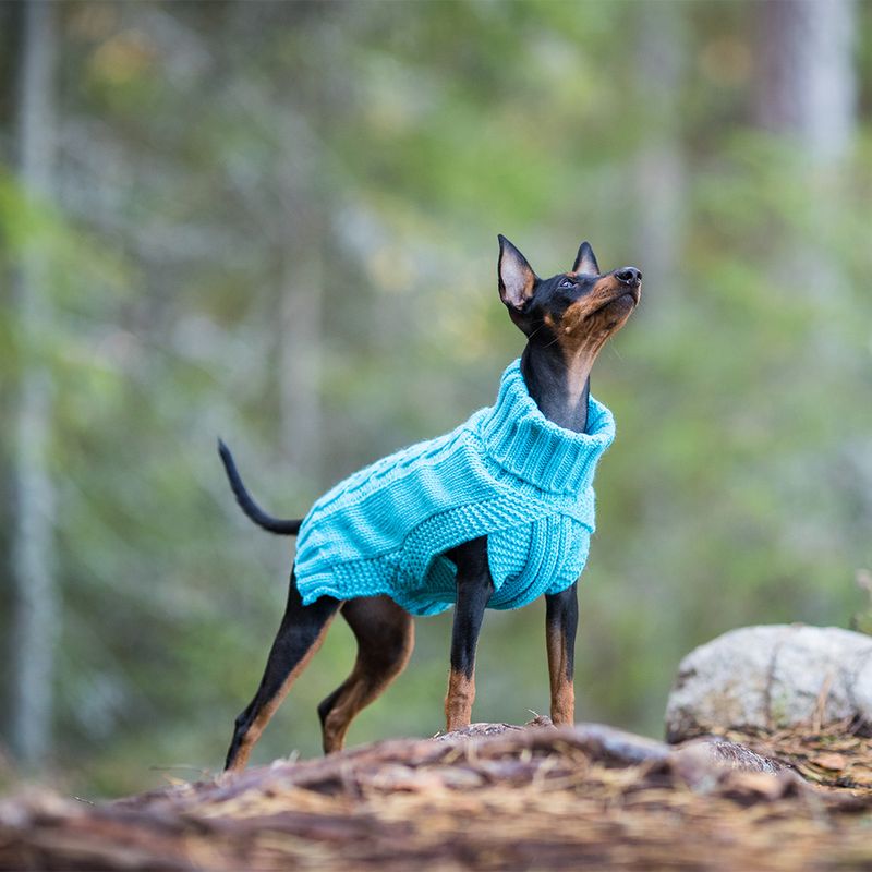 Rukka Hundepullover Wooly, türkis zu TOP-Preisen
