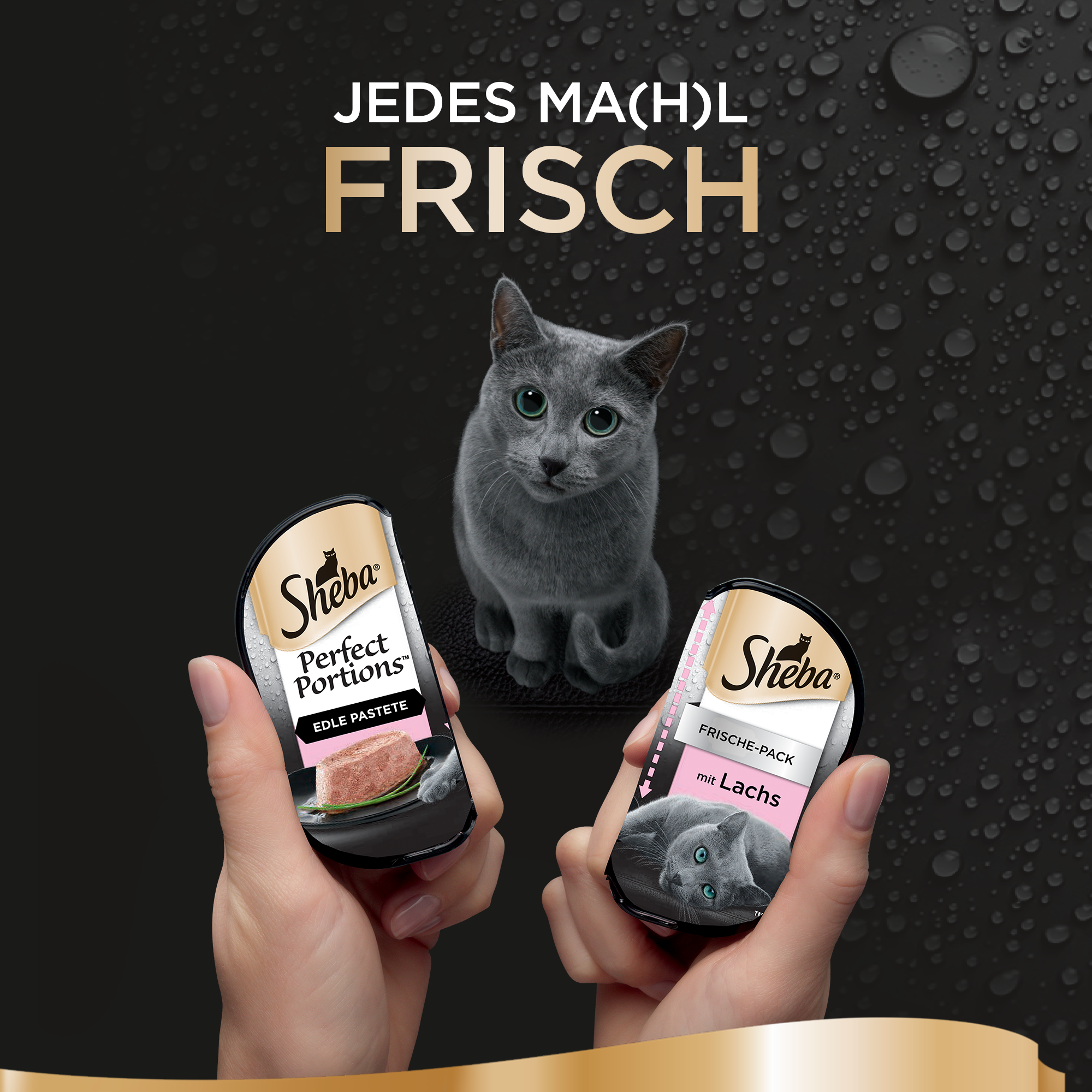 Sheba Katzenfutter Sheba Perfect Portions Paté 3x2x37,5g Lachs