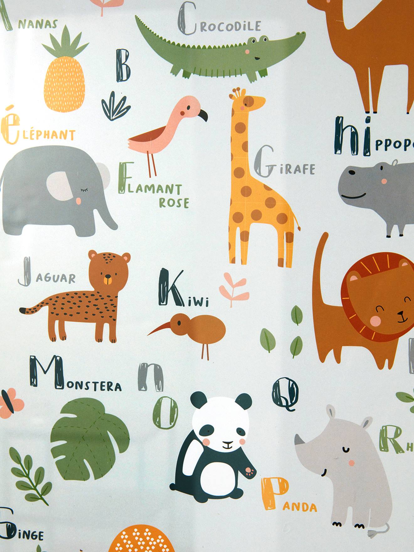 Cadre + affiche Abécédaire Jungle multicolore
