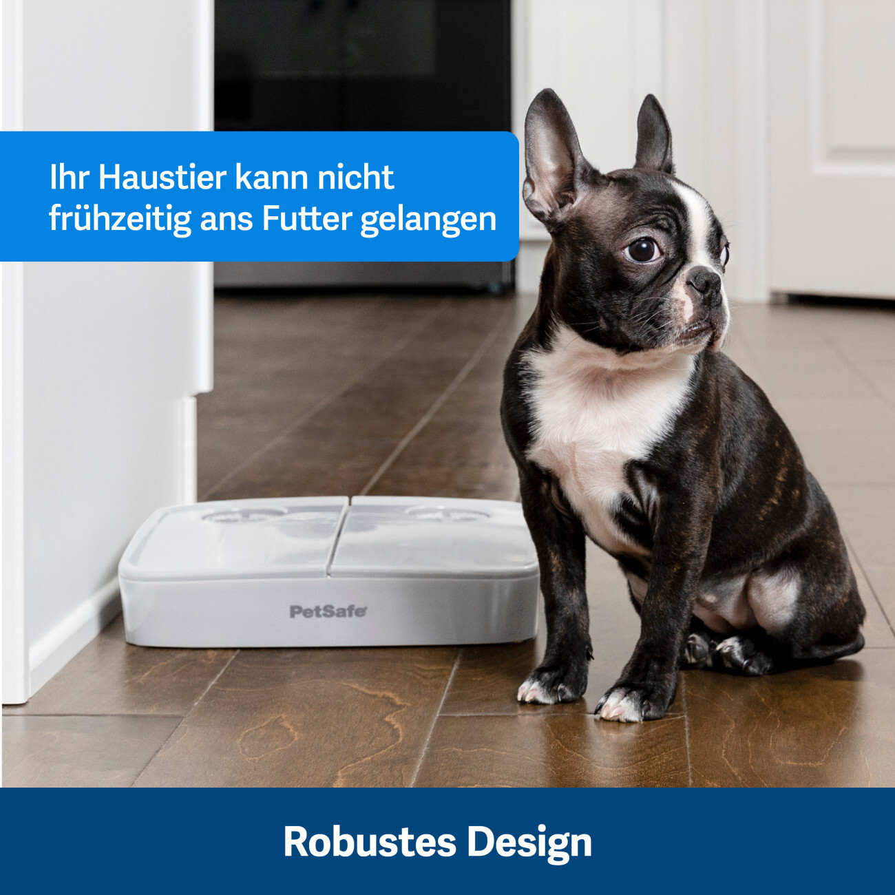 PetSafe Futterautomaten PetSafe Futterautomat für 2 Mahlzeiten