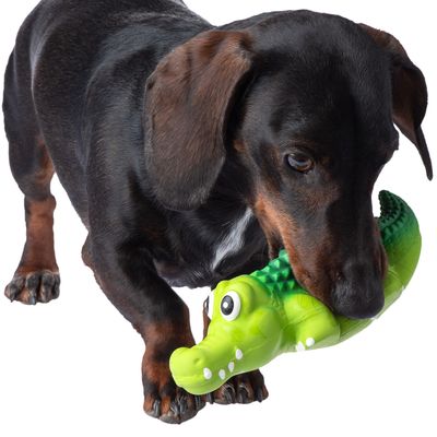 Hundespielzeug Latex Crocodylus