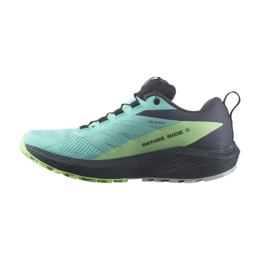 Salomon Sense Ride 5 GTX W L47216000 / bunt