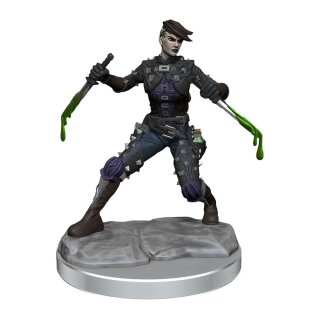 D&D Frameworks: Human Rogue Female
