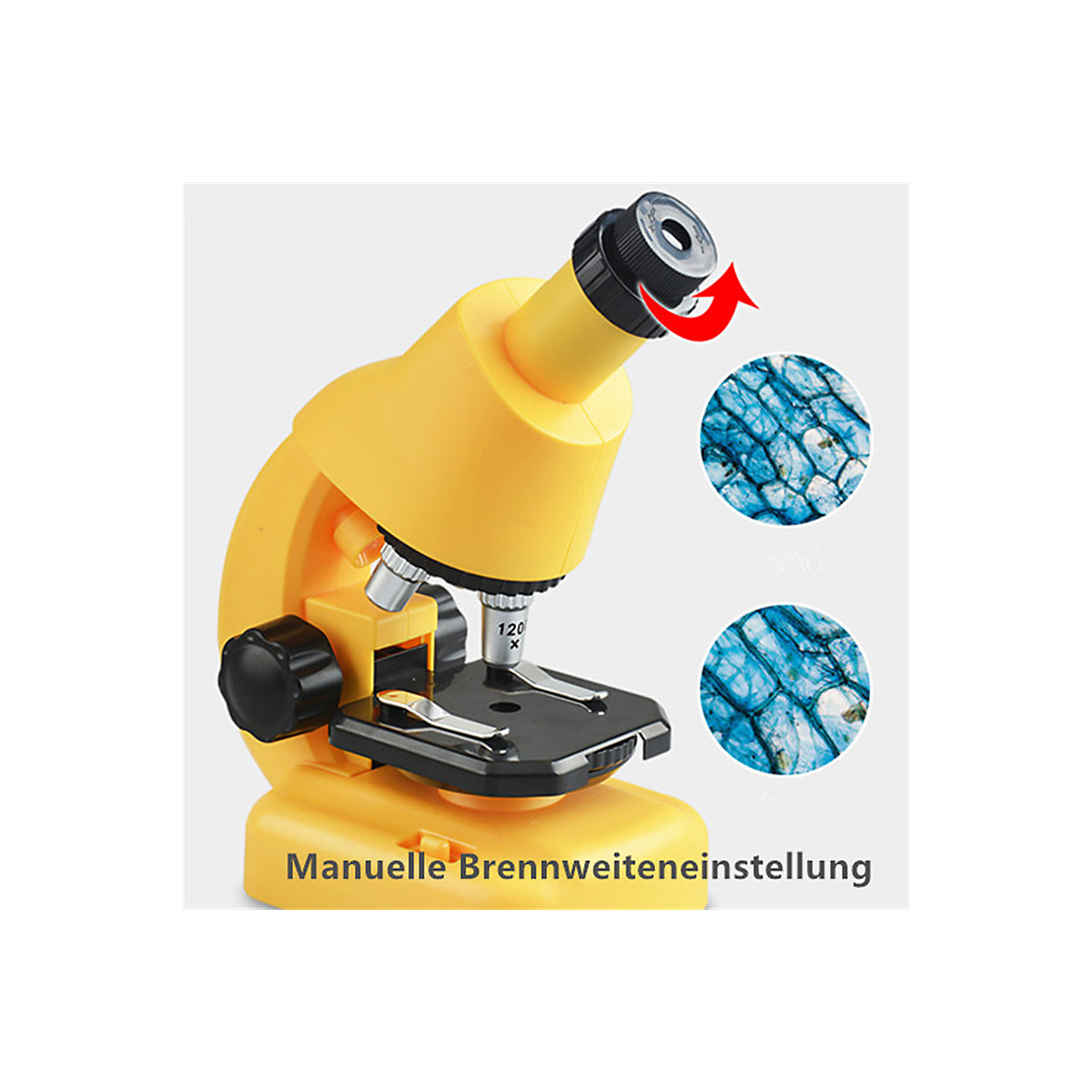 Biologische Wissenschaft kleines Experiment pädagogisches Kinderspielzeug Mikroskop Kinder Science Experiment Set