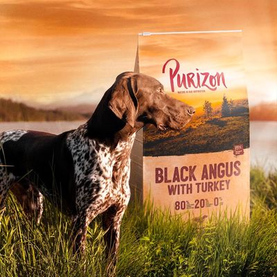 Purizon Black-Angus-Rind mit Truthahn Adult - getreidefrei