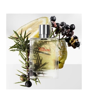 HERMÈS Terre d'Hermès Eau Givrée Eau de Parfum-175 ml