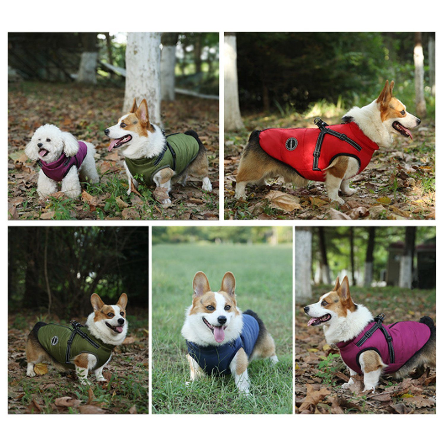 TOPMELON Hundejacke Wasserdichter Hundewintermantel, warme Hundejacke