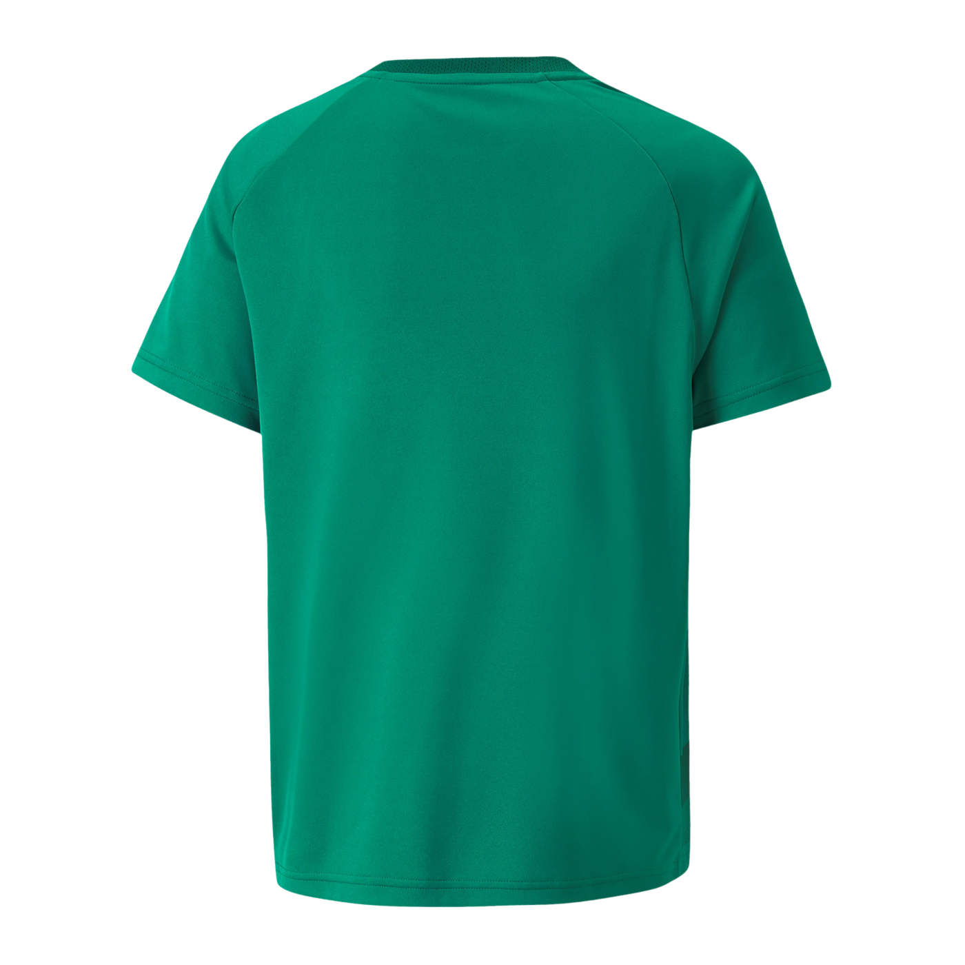 PUMA teamVISION Trikot Kids Grün F05