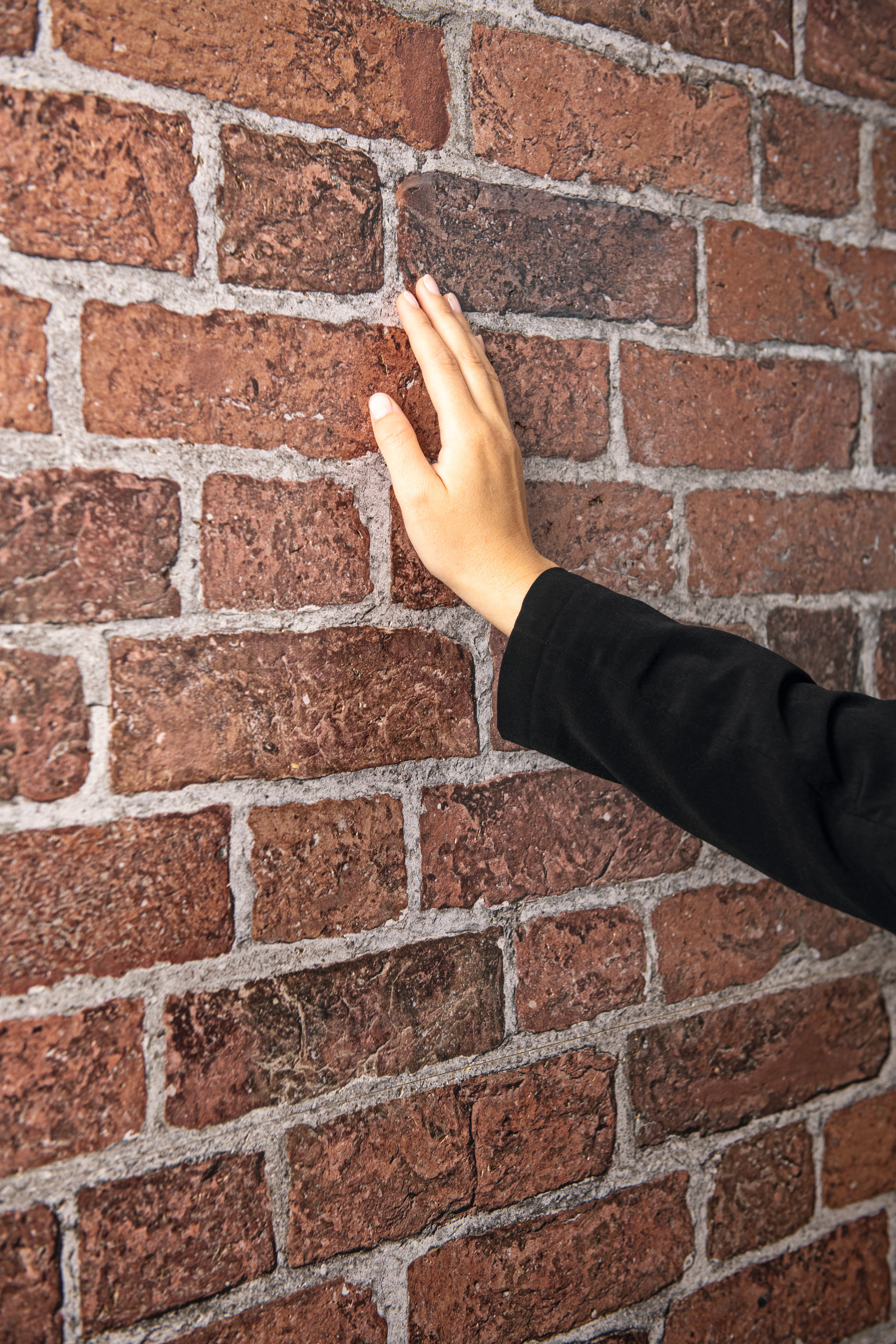 EGGER Wandpaneel Decowall DO004 Wismar Backstein, BxL: 66,00x125,00 cm, (3-tlg) digital bedruckte OSB Platte