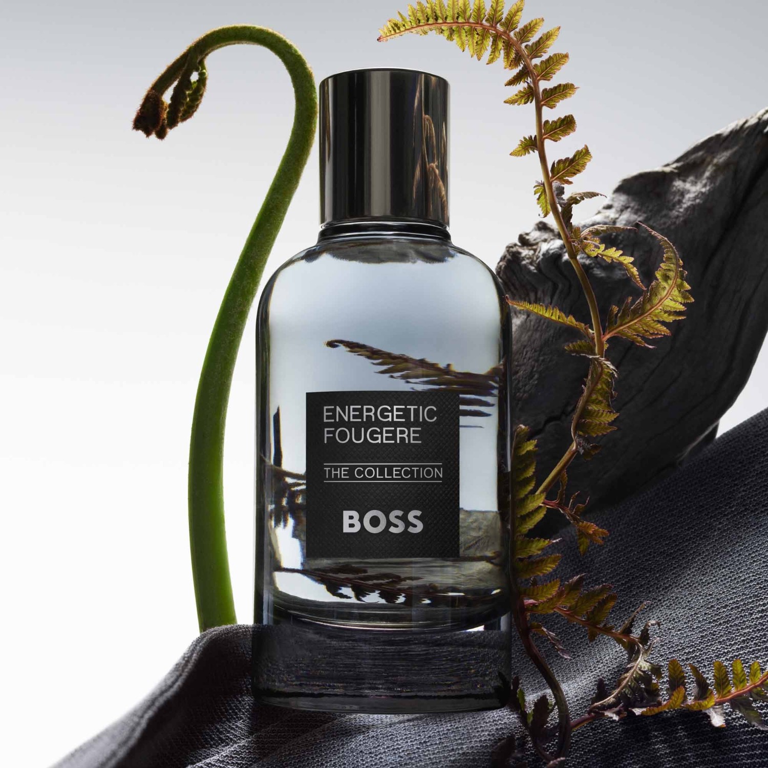 Hugo Boss Energetyczna Paproć