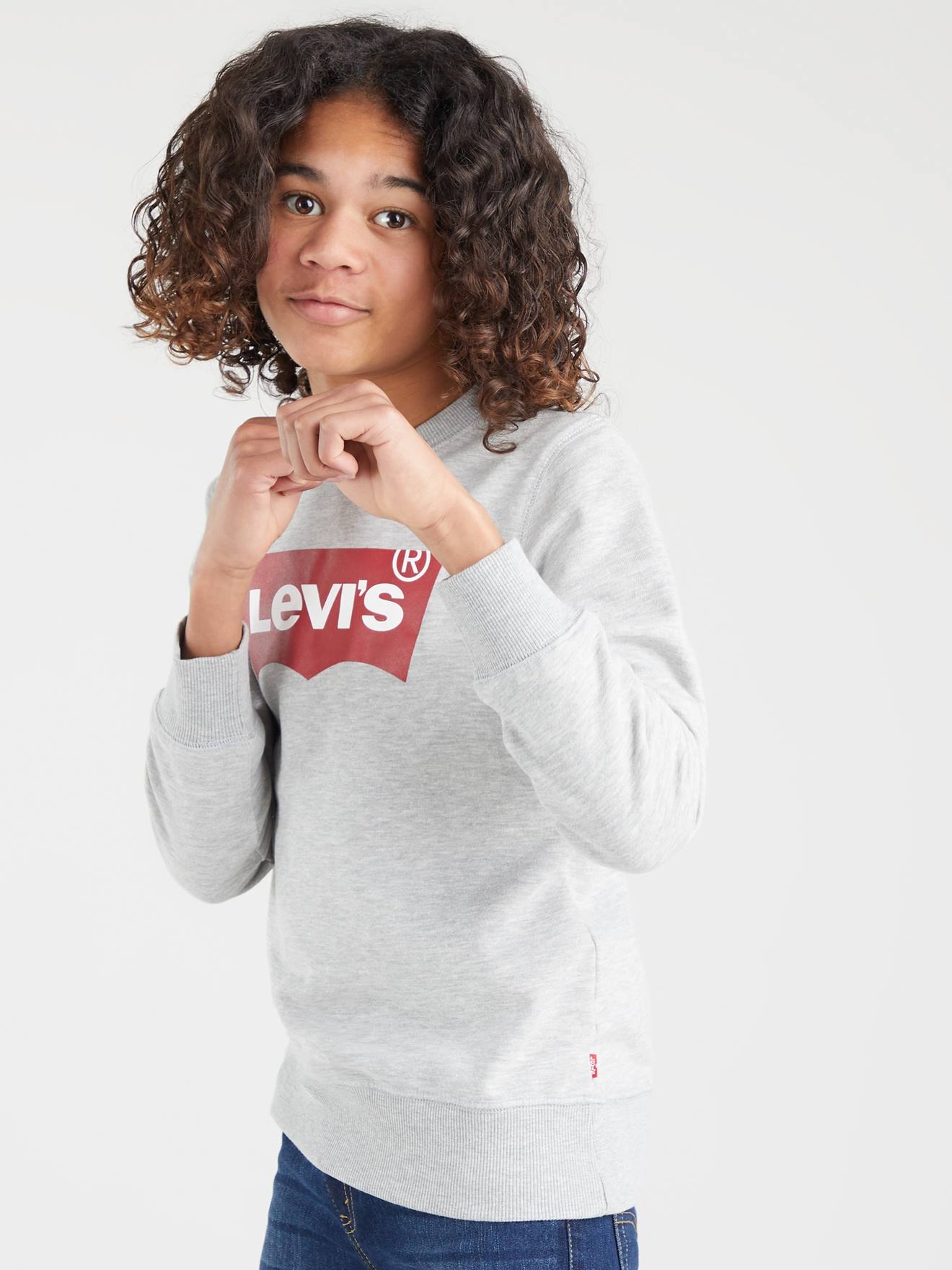 Levis Jungen Sweatshirt Batwing Crewneck Levi's - grau