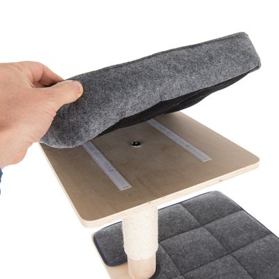 Kratzbaum Cairo
