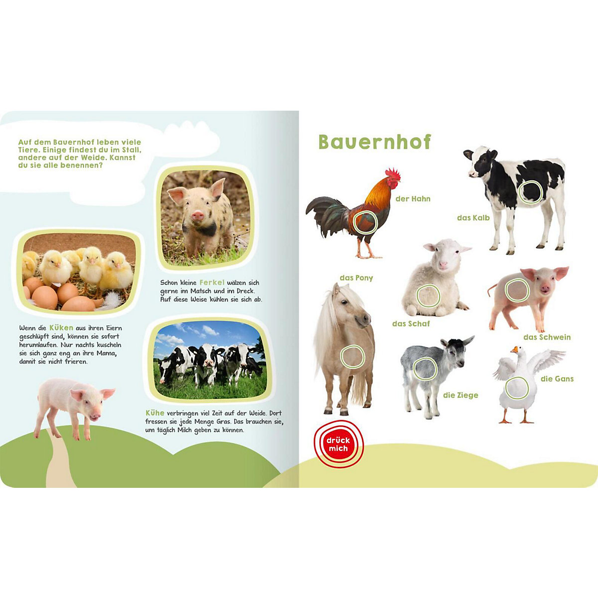 Mein großes Buch der Tiergeräusche, Soundbuch mit Tiergeräuschen