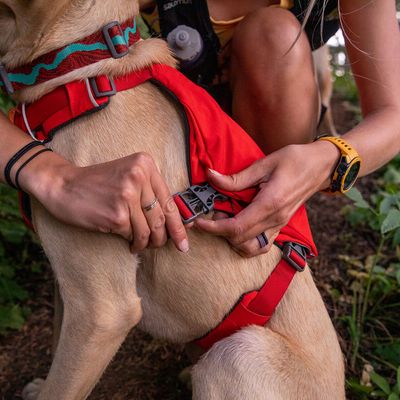 Ruffwear Switchbak Harness, Red Sumac