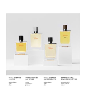HERMÈS Terre d'Hermès Eau Givrée Eau de Parfum-175 ml
