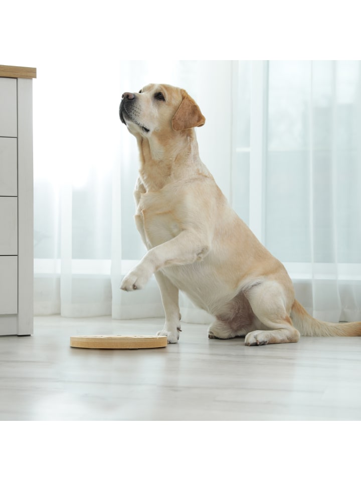 relaxdays Hunde-Intelligenzspielzeug in Natur günstig kaufen onesize