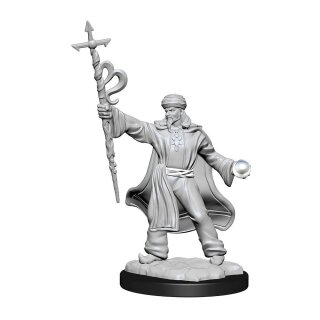 D&D Nolzur's Marvelous Miniatures - Human Wizard Male