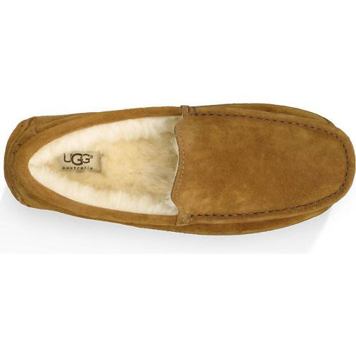 UGG Herren Hausschuhe ASCOT