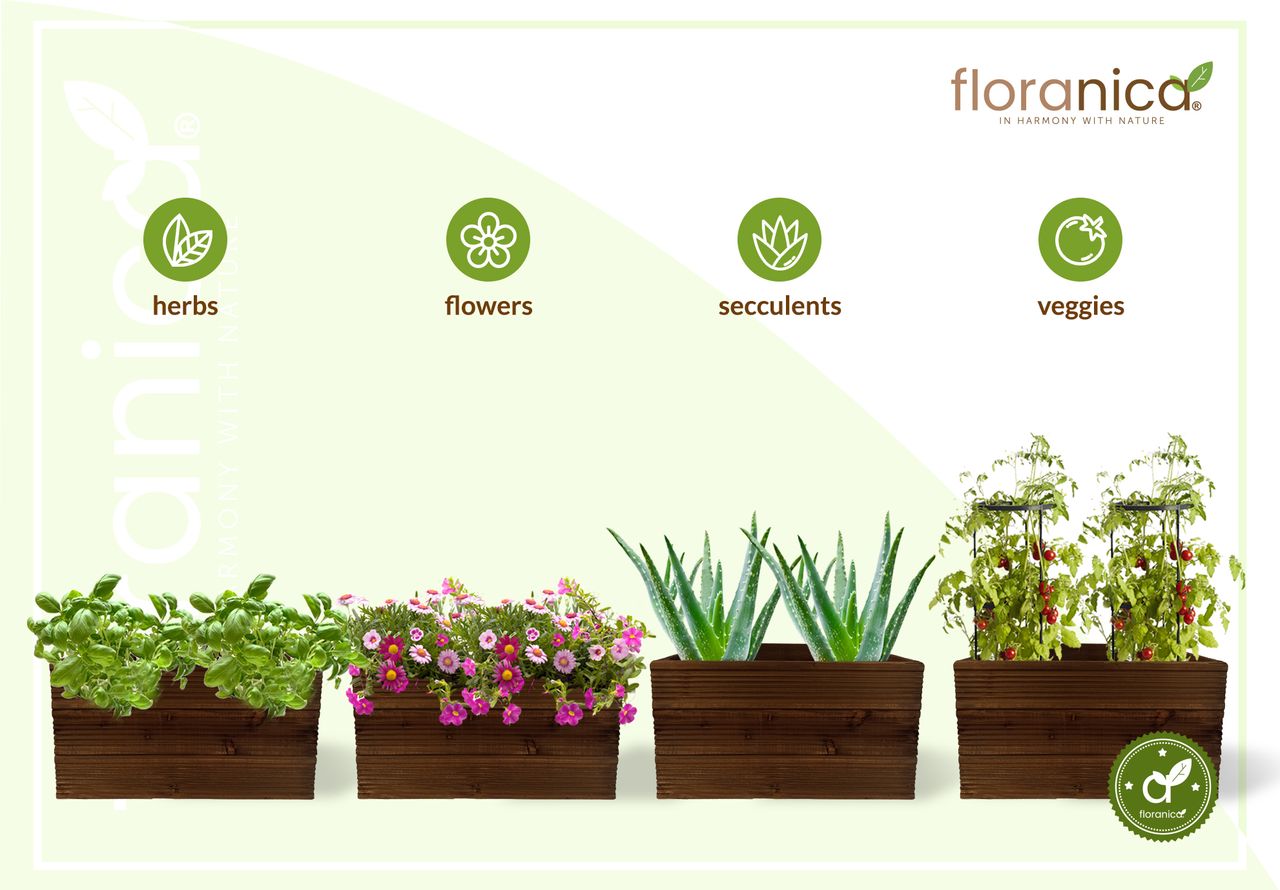 Pemicont Floranica Blumentopf aus Holz Kasten 50cm x 335cm x 285cm Braun Imprägniertes Lärchenholz Schutzhülle für Kräuter Blumen Haus- und Gartendekoration Innen- und Außenbereich EU-Produkt