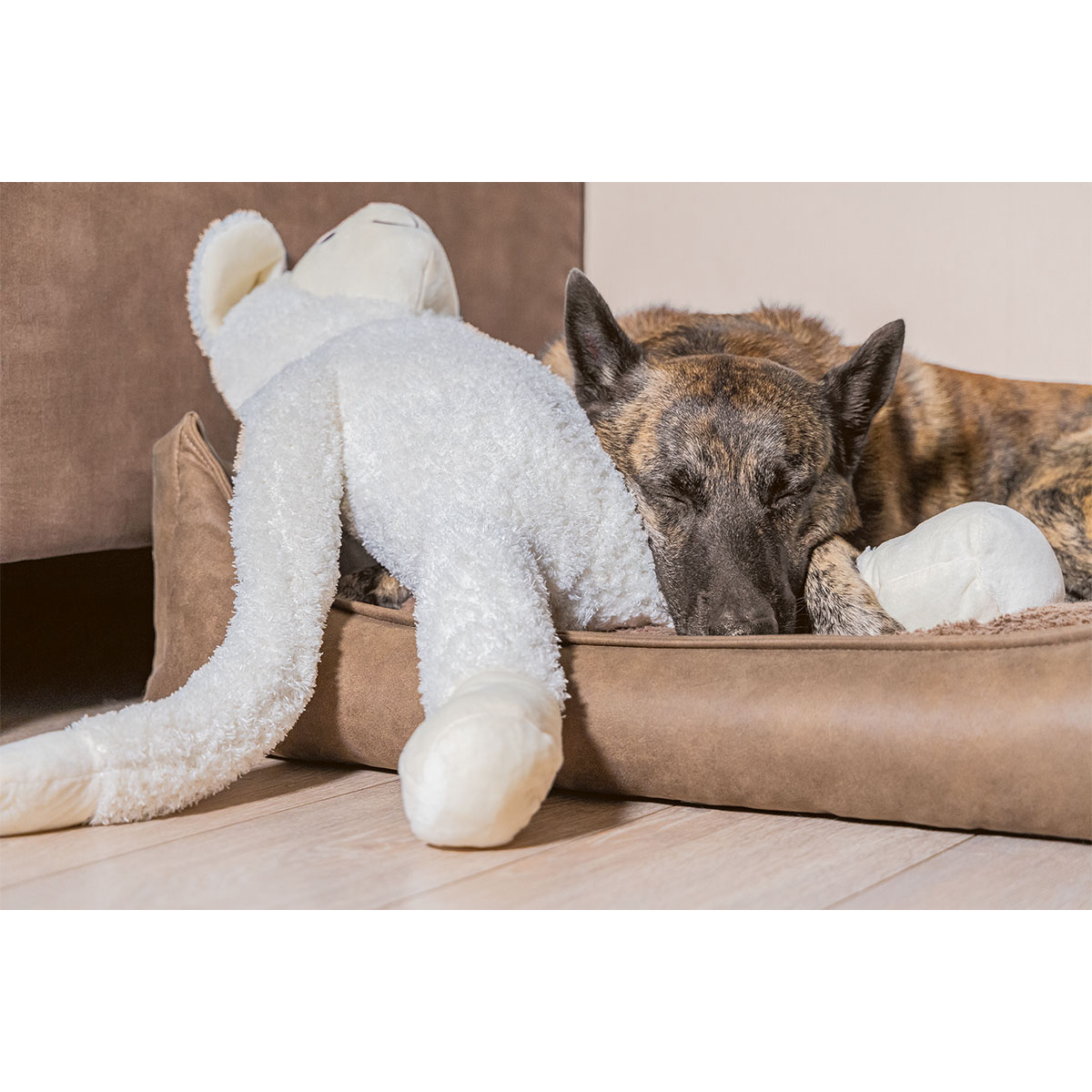 Beeztees XL Hundespielzeug plüsch Schaf Jessy weiß bei ZooRoyal