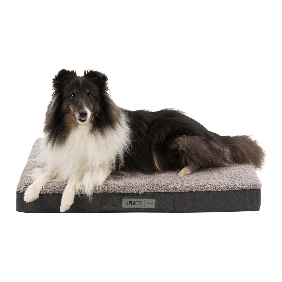 Trixie Vital Bendson Hundekissen günstig kaufen bei ZooRoyal