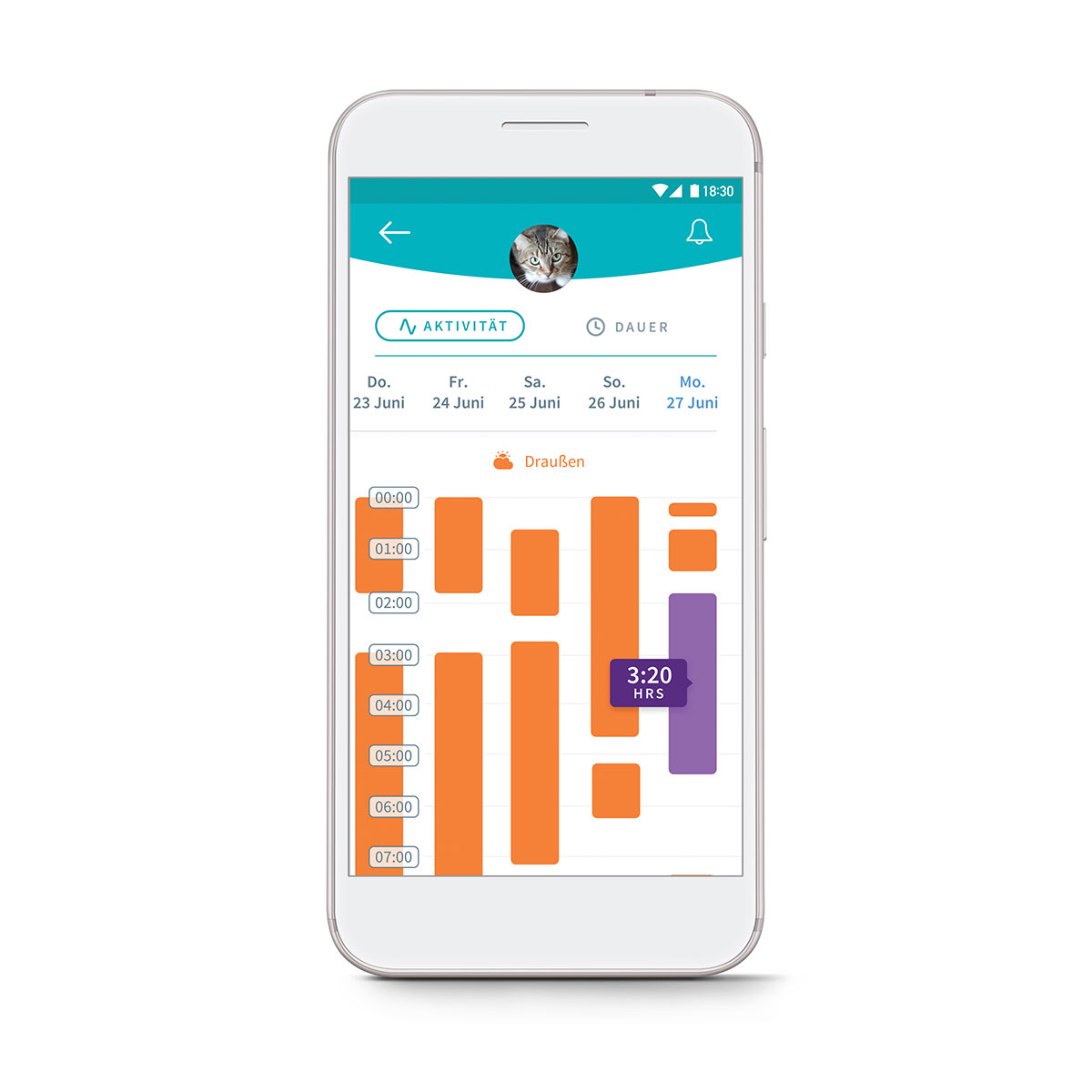 SureFlap Mikrochip Katzenklappe Connect + Hub kaufen