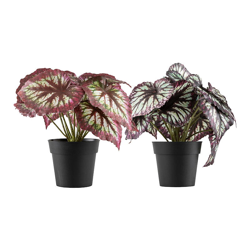 Blossom Kongebegonia 20 cm kunstig
