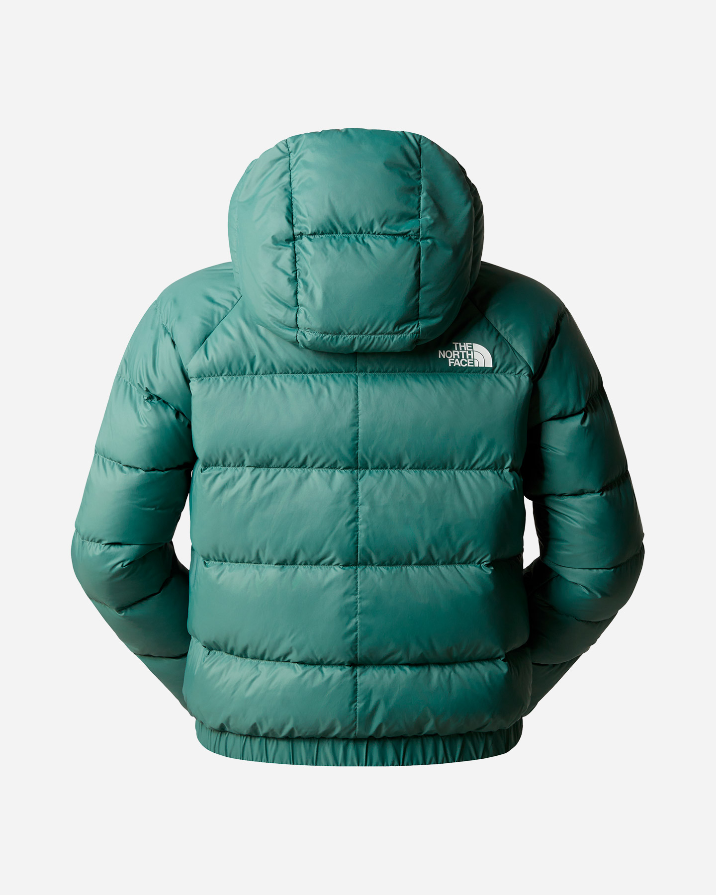 Piumino The North Face Hyalite W NF0A3Y4RI0F1