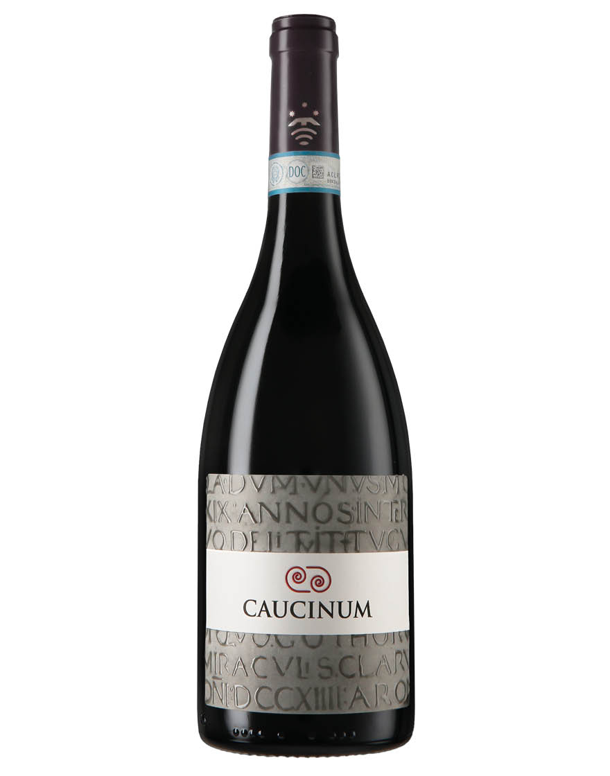 Falerno del Massico DOC Riserva Caucinum 2019 Poderi Trabucco Aurilio 0,75 ℓ