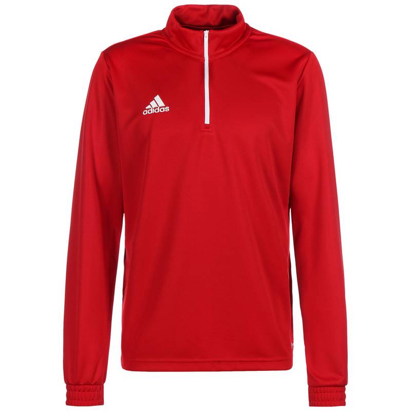 adidas Entrada 22 Funktionssweatshirt Herren