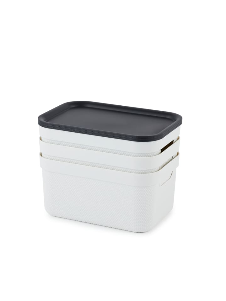Rotho Jive Dekobox 3er-Set Aufbewahrungskorb 5l in Mistelweiß günstig kaufen onesize