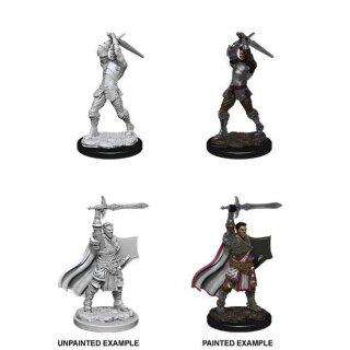 D&D Nolzur's Marvelous Miniatures - Male Human Paladin
