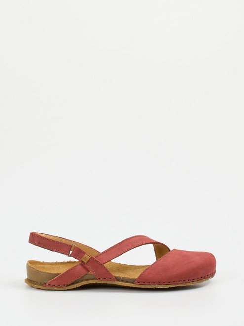 Slipper-13112590001 El Naturalista