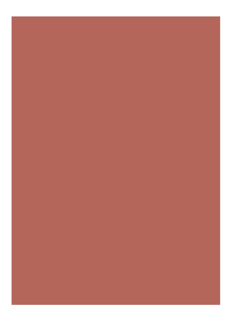 Bobbi Brown Luxe -huulipuna