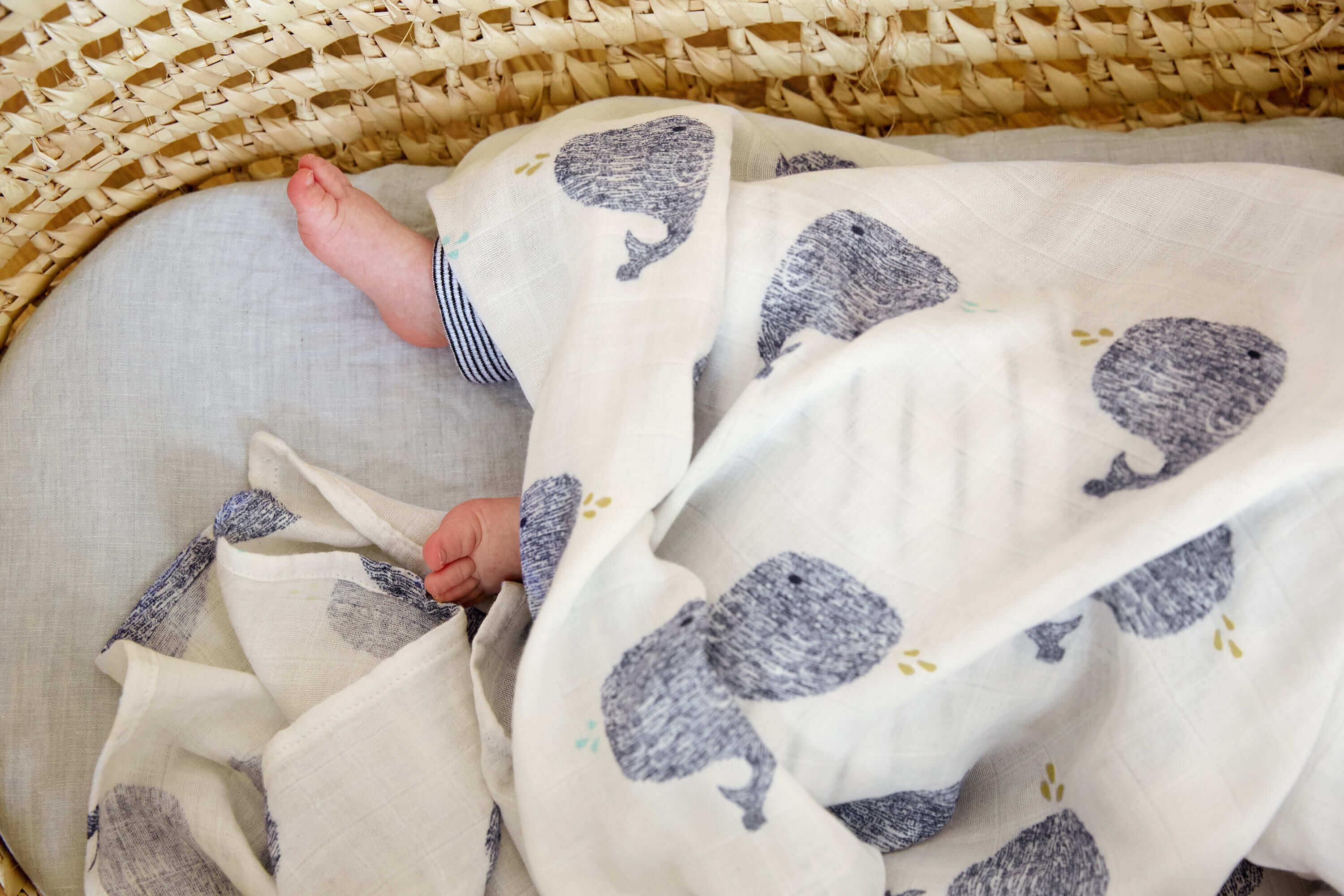 Mulltücher (3 Stk) - Heavenly Soft Swaddle L, Little Water Whale