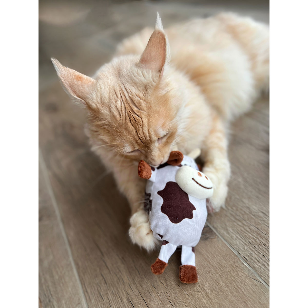 Aumüller Katzenspielkissen Kuh Ella günstig kaufen