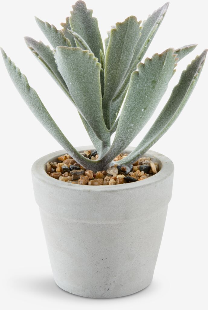 Plante artificielle LOVE LOVE Ø7xH15cm assortie.