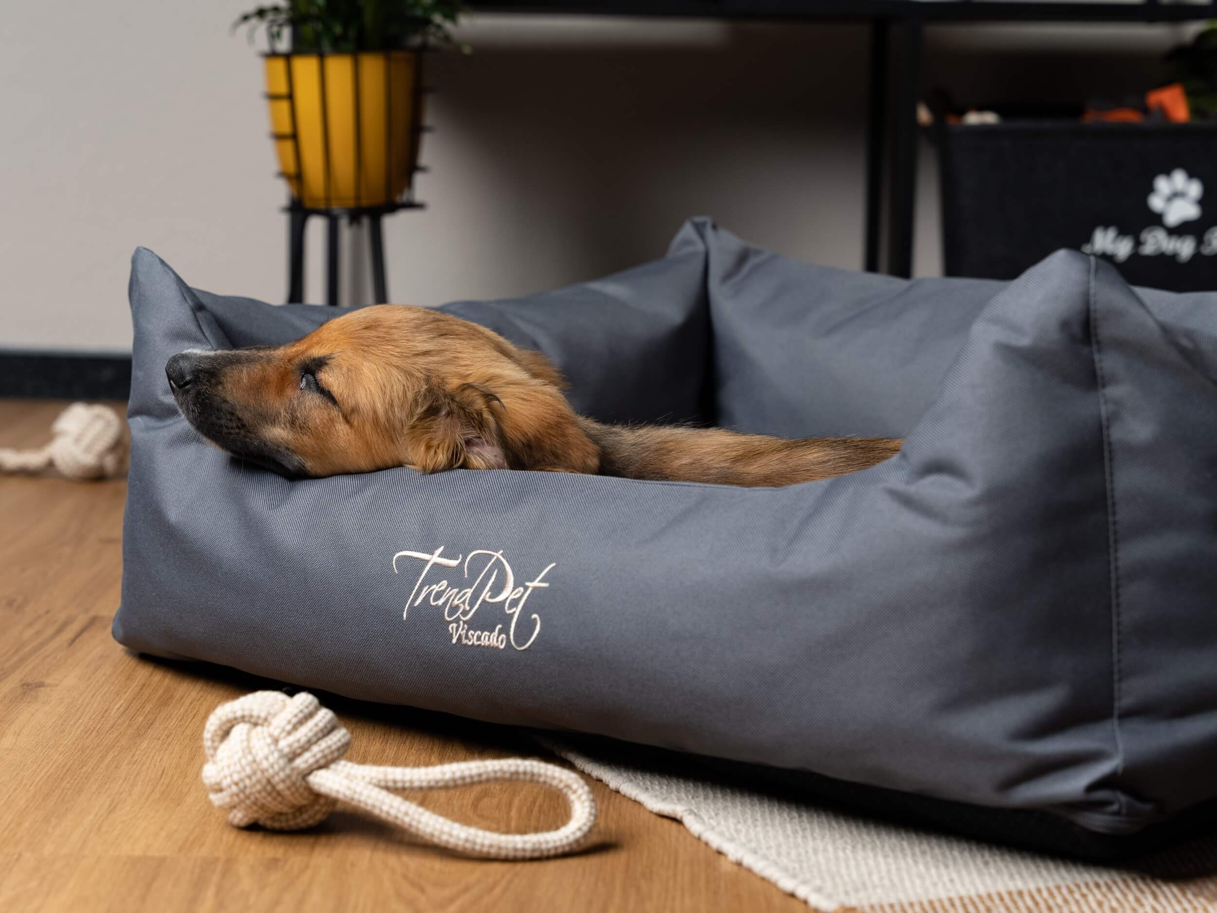 TrendPet Hundebetten TrendPet Viscado orthopädisches Hundebett grau L