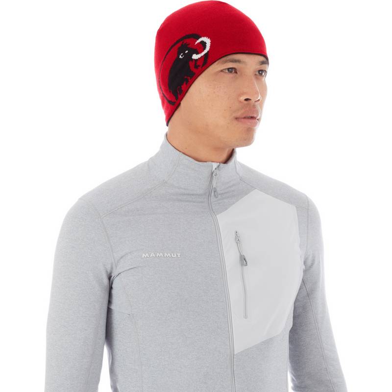 Mammut Logo Beanie