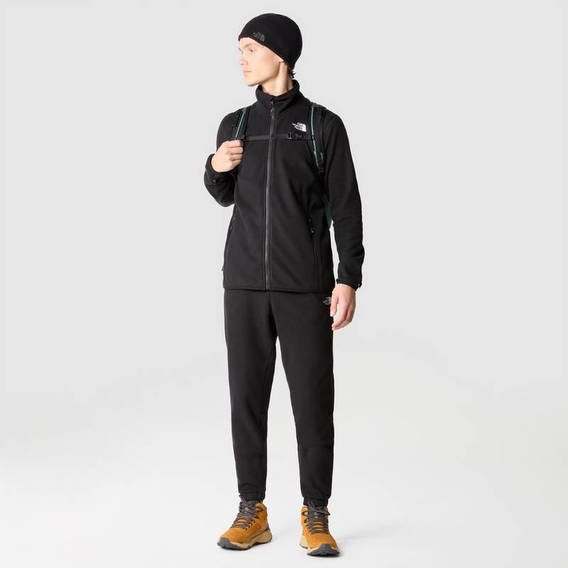 The North Face 100 GLACIER Fleecejacke Herren