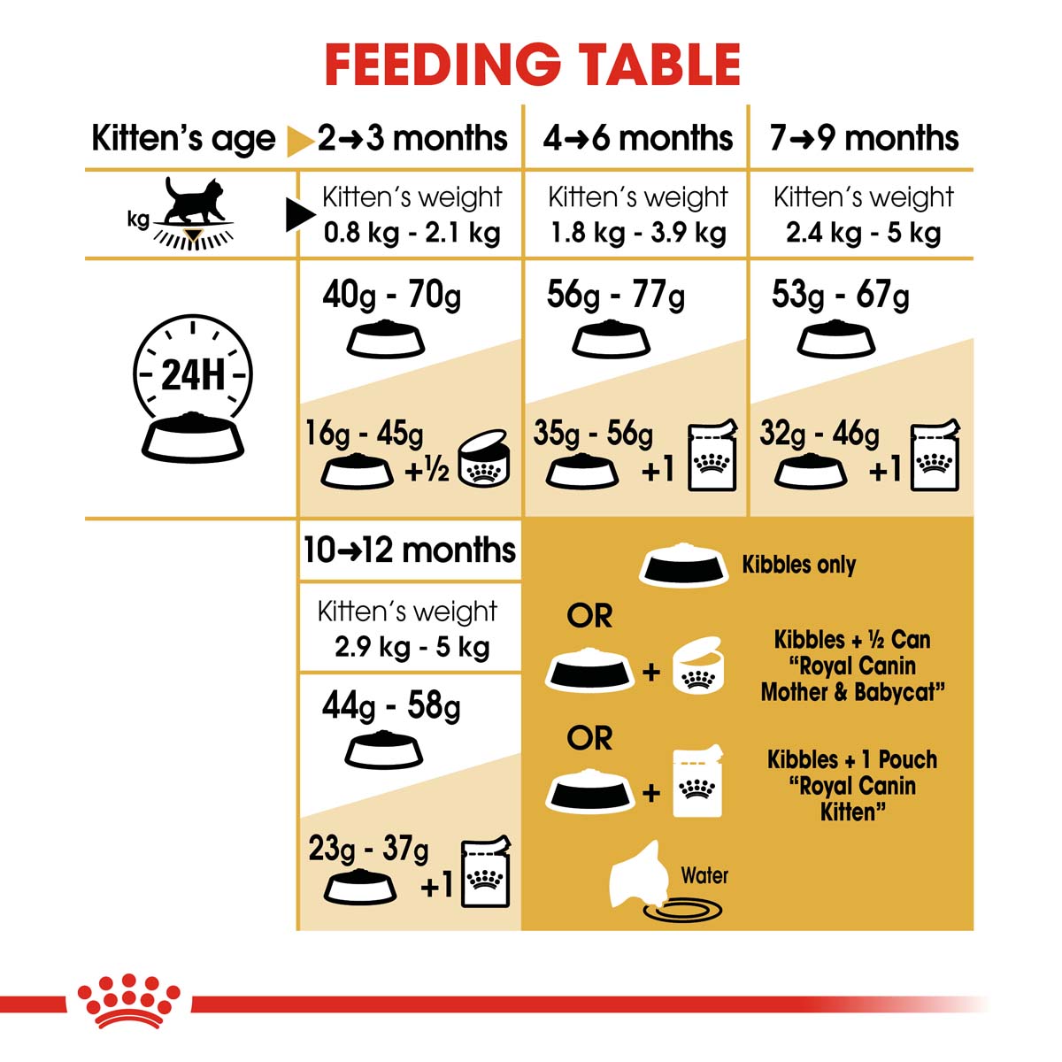 ROYAL CANIN KITTEN British Shorthair 2kg + Kitten in Soße 12x85g