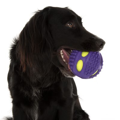 Hundespielzeug Gummi-Tennis-Ball 2in1